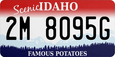ID license plate 2M8095G