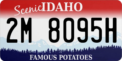 ID license plate 2M8095H