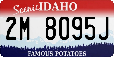 ID license plate 2M8095J