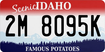 ID license plate 2M8095K