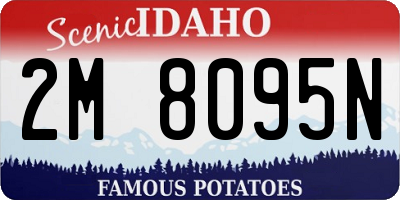 ID license plate 2M8095N