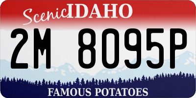 ID license plate 2M8095P