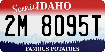 ID license plate 2M8095T
