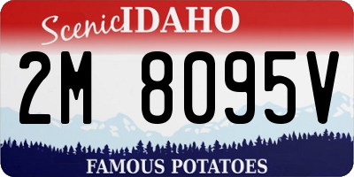 ID license plate 2M8095V