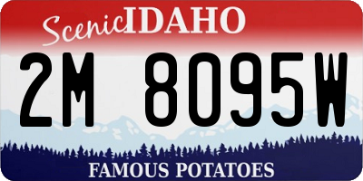ID license plate 2M8095W
