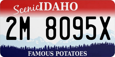 ID license plate 2M8095X