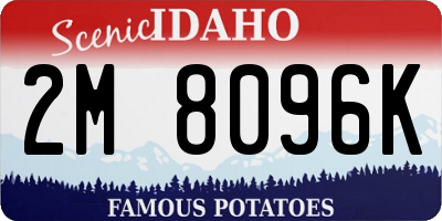 ID license plate 2M8096K