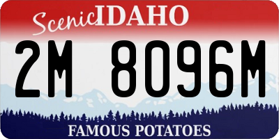 ID license plate 2M8096M