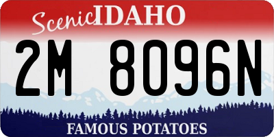 ID license plate 2M8096N