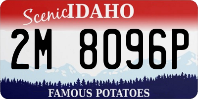 ID license plate 2M8096P