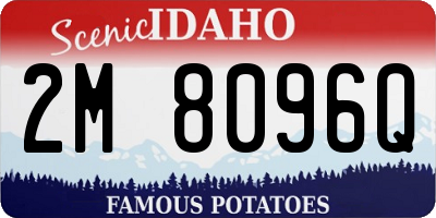 ID license plate 2M8096Q