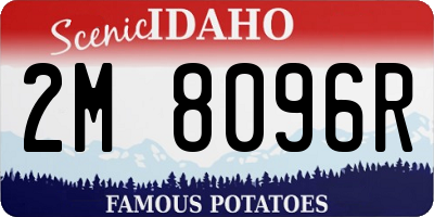 ID license plate 2M8096R