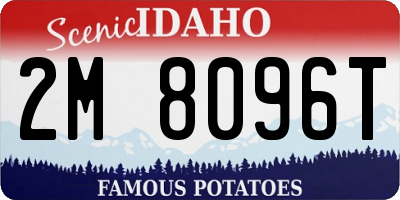 ID license plate 2M8096T