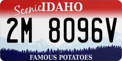 ID license plate 2M8096V