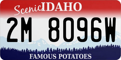 ID license plate 2M8096W