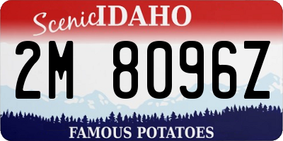 ID license plate 2M8096Z