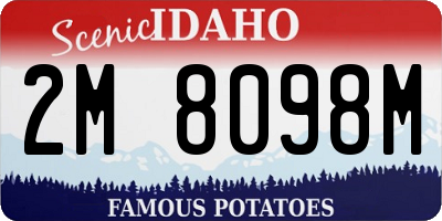 ID license plate 2M8098M
