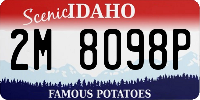 ID license plate 2M8098P