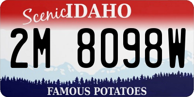ID license plate 2M8098W