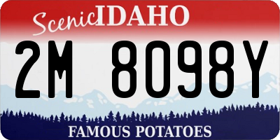 ID license plate 2M8098Y