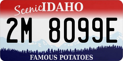 ID license plate 2M8099E