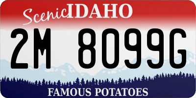 ID license plate 2M8099G