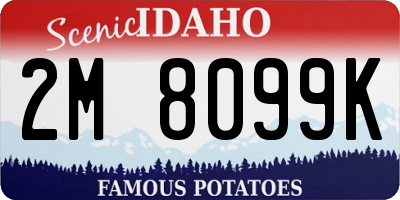 ID license plate 2M8099K