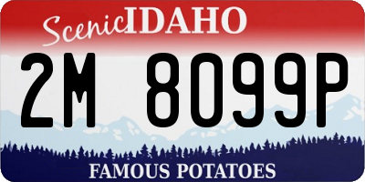 ID license plate 2M8099P