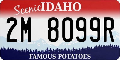 ID license plate 2M8099R