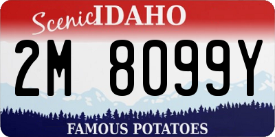 ID license plate 2M8099Y