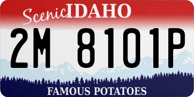 ID license plate 2M8101P