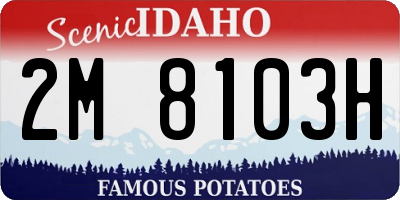 ID license plate 2M8103H