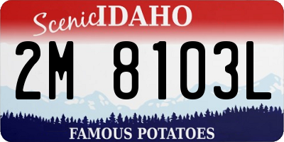 ID license plate 2M8103L