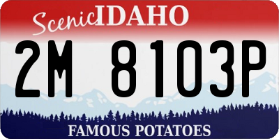 ID license plate 2M8103P