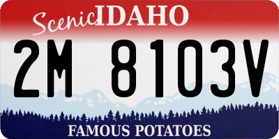 ID license plate 2M8103V