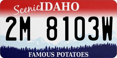 ID license plate 2M8103W