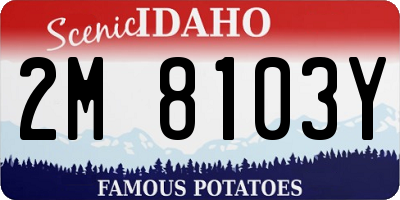ID license plate 2M8103Y