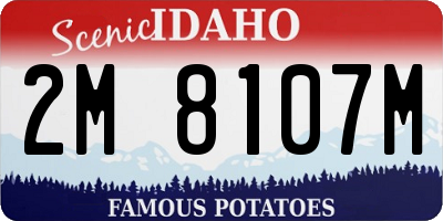 ID license plate 2M8107M