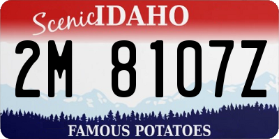 ID license plate 2M8107Z
