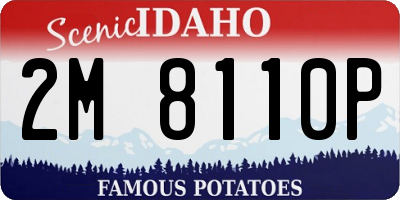 ID license plate 2M8110P