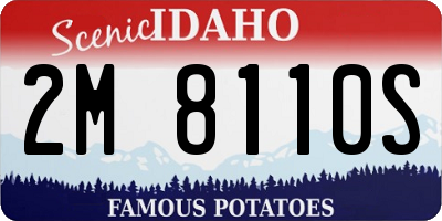 ID license plate 2M8110S