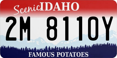 ID license plate 2M8110Y