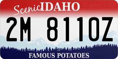 ID license plate 2M8110Z