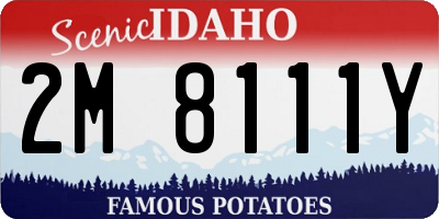 ID license plate 2M8111Y