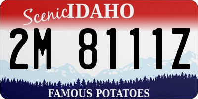 ID license plate 2M8111Z