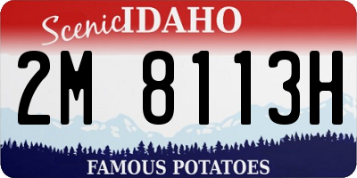 ID license plate 2M8113H