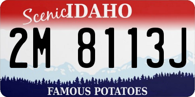 ID license plate 2M8113J