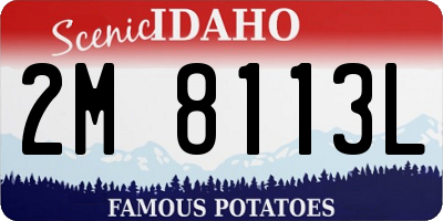 ID license plate 2M8113L