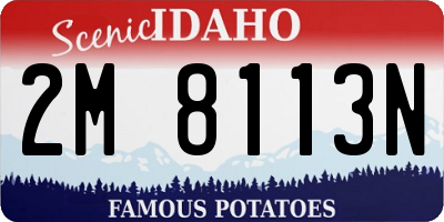 ID license plate 2M8113N