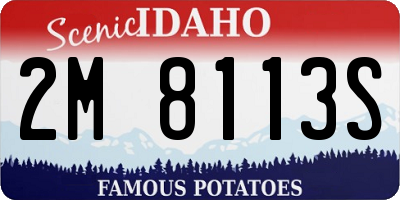 ID license plate 2M8113S